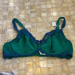 Lise Charmel Green Lace Underwire Bra with Blue Embroidery NWT